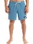 Original Arch Volley 17" Erkek Mavi Volley Short 1