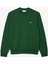 Erkek Classic Fit Bisiklet Yaka Organik Pamuk Koyu Yeşil Sweatshirt 6