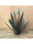 Tekila Rustik Agave Bitki El Boyalı Metal Agave Bahçe Dekoru (Yurt Dışından) 3
