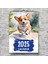 Corgi Takvimi 2025 Köpek Takvimi Duvar Takvimi (Yurt Dışından) 5