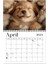 2025 Köpek Duvar Takvimi Komik Uykucu Köpek Desen Takvimi (Yurt Dışından) 3
