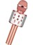Bluetooth Karaoke Mikrofon (4887) 2