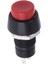 Yuvarlak Anahtarlı Kalıcılı 10MM Plastik Buton IC-190 (4887) 1