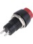 Yuvarlak Anahtarlı Kalıcılı 10MM Plastik Buton IC-190 (4887) 2