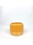 Pla Standart Champagne Shimmer Alt-07 3