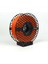 Pla Standart Papaya Punch T-04 2