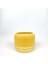 Pla Perfection Banana Cream Bj-06 3