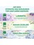 Oda Kokusu Freshmatic Makine Yedek Spreyi Lavanta x 4 Adet 6