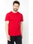 Erkek Çok Renkli T- Shirt Regular Fit Rahat Kesim Bisiklet Yaka Basic Tişört 2