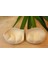 Aquaviva Kadın Ten Mayo Bikini Iç Çamaşırı Double Dolgu Push - Up 2