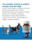 Hairball Control – Kedi ve Köpek Tüy Yumağı Oluşumu Önleyici ve Kabızlığı Önleyici Tablet 5
