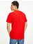 Erkek Classics Jersey T-Shirt 2