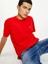 Erkek Classics Jersey T-Shirt 3