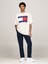 Tjm Ovz Melange Flag Tee 2