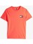Tjm Slım Essentıal Flag Tee Ext 1