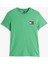 Tjm Slım Essentıal Flag Tee Ext 1