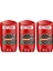 Bearglove Erkek Deodorant Stick 50 ml x 3 Adet 2