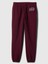 V-Gap Heritage Jogger Kadın Eşofman Alt 2