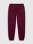 V-Gap Heritage Jogger Kadın Eşofman Alt 5