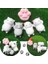 Mühür Tarzı Mochi Sıkıştırılabilir Hayvan Oyuncakları Oyuncaklar Mochi Hayvanlar Oyuncaklar Mini Hayvanlar Kedi Sevimli Kawaii Oyuncak Noel Hediyesi (Yurt Dışından) 5