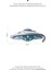 Ufo Duvar Stickeri | Çocuk Bebek Odası Duvar Stickeri | Uçan Daire Duvar Dekorasyonu 2