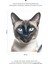 Kedi Duvar Stickeri | Çocuk Odası Duvar Stickeri | Kedili Duvar Dekorasyonu 2