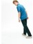 Erkek Regular Fit Paris Polo T-Shirt 1