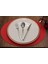 Oval Lazer Kesim Suni Deri Amerikan Servis 2 Adet 35X45 cm 1