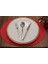 Oval Lazer Kesim Suni Deri Amerikan Servis 2 Adet 35X45 cm 3