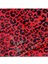 Yastık KILIFI Ipek Saten 2 Adet Luxury Yastık Kılıfı Red Leopard 3