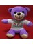 Mutlu Aşıklar Temalı Peluş Ayıcık 1