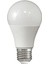 Panther 9 Watt 10 Adet Gün Işığı LED Ampul 3000K 1