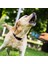 Ultrasonik Köpek Kovucu ve Eğitici Cihaz (4887) 4
