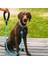 Reflektörlü Fosforlu Köpek Gezdirme Halatı Tasma Kayışı Metal Kancalı 130 cm (4887) 3
