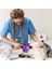 Otomatik Temizlenebilen Tuşlu Pratik Kedi Köpek Tüy Toplama Fırçası (4887) 3