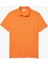 Erkek Regular Fit Paris Polo T-Shirt 5