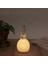 Ananas Şeklinde Desenli Büyük Boy Pilli Masa ve Gece Lambası 3