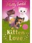 Holly Webb Animal Stories:kitten Love A Collection Of Stories (Lost In The Storm, The Curious Kitten,the Homeless Kitten) 1