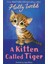 Holly Webb Animal Stories: A Kitten Called Tiger 1