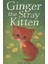 Holly Webb Animal Stories: Ginger The Stray Kitten 1