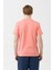 Erkek Tshirt BNT-M21182 4