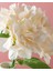 Hortensia Tek Dal Yapay Çiçek 35 cm Şamp 3