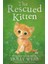Holly Webb Animal Stories: The Rescued Kitten 1