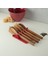 Dailytools Kaşık Standı 2