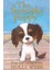 Holly Webb Animal Stories: The Seaside Puppy 1
