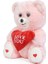 Kutu Içerisinde Sevgiliye Özel Kalpli (I Love You) Yazılı Sevimli Peluş 5