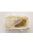 MS033.3302 Sinyal Sol Jazz 08-14 1