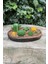 Concept Agavoides Sukulent Mum Kalıbı (Silikon) 3