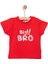 Big Bro Baskılı Basic Tshirt Erkek Bebek 1