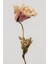 |soft| Kuru Çiçek Kombini (Cymbidium Orchids) |çerçeveli Cam Tablo 2li Dikey 2